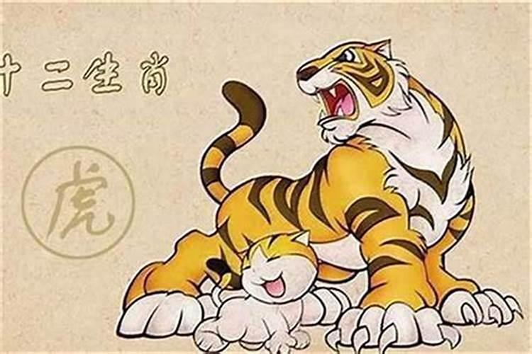 鼠和猴买几楼最好