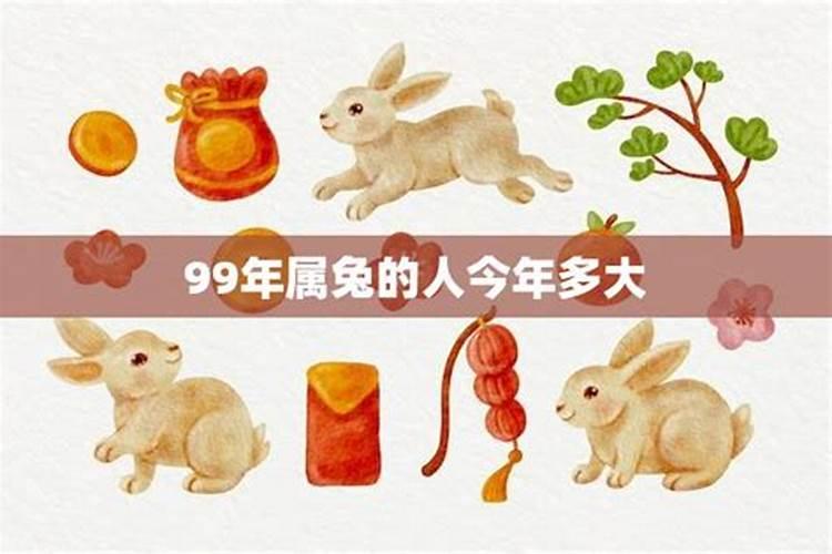 1999年属兔的人今年运势如何