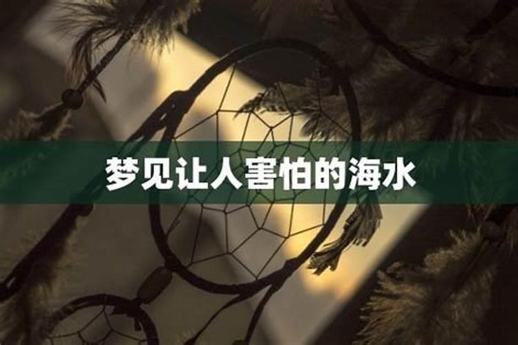 属兔的和老鼠合不合