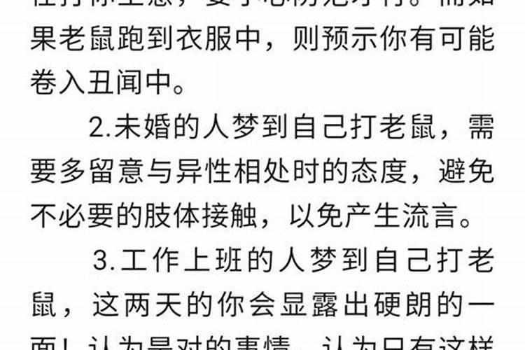 梦见打老鼠老鼠跳到自己身上