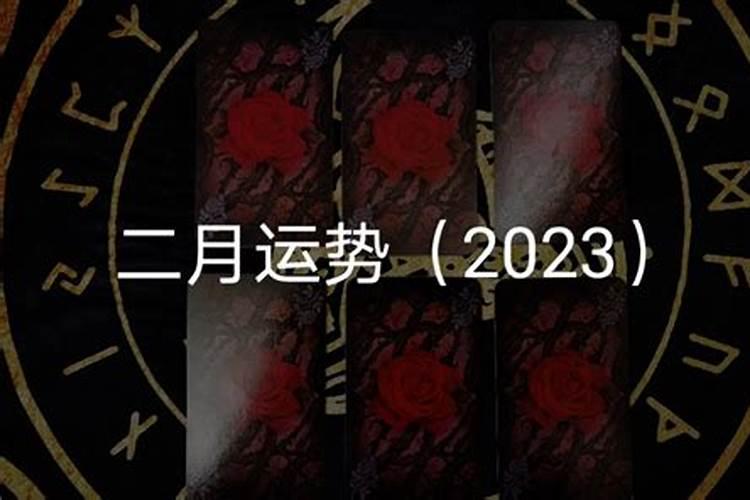 龙女2023年的运势如何2月份出生