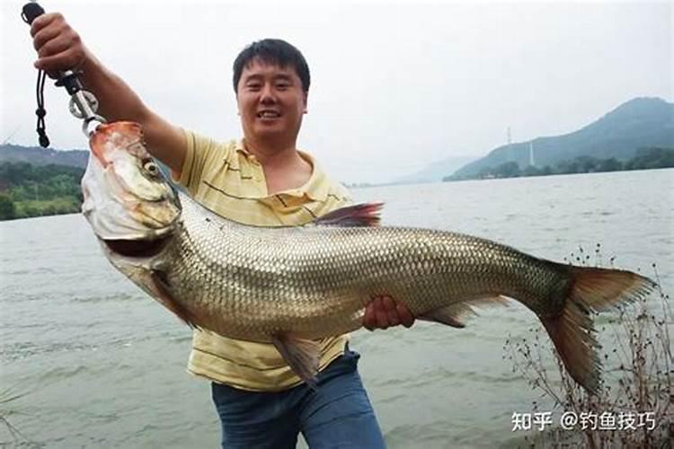 重阳节钓鱼钓哪些鱼