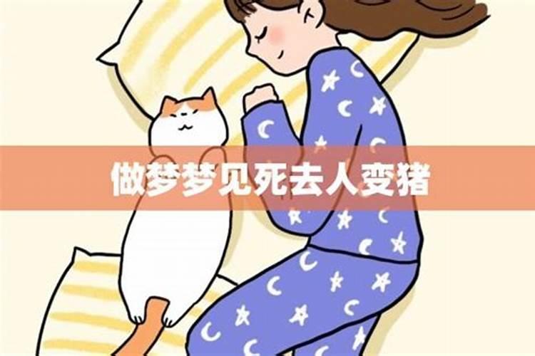 梦见男朋友变成了猪