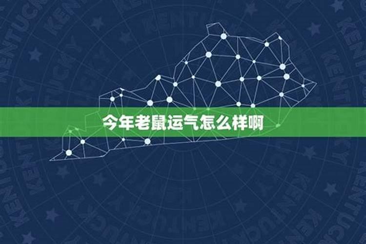 老鼠人运势2023年运势