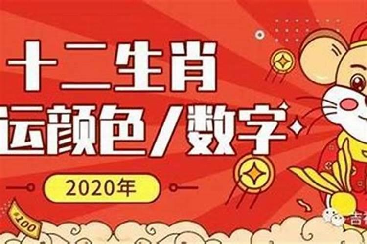 属猴2020年12月