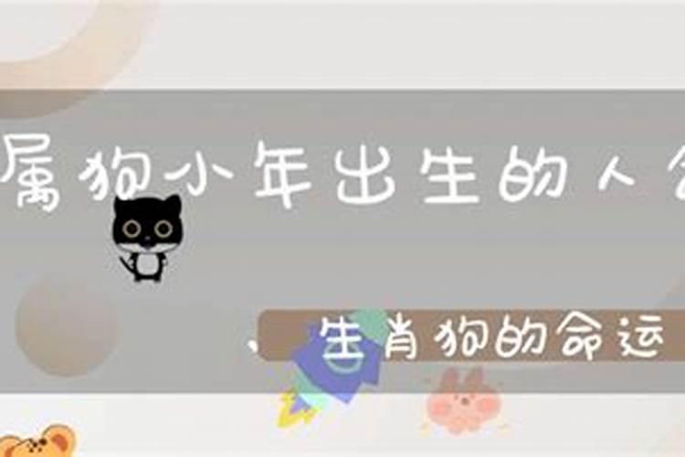 5月出生属狗人的命运