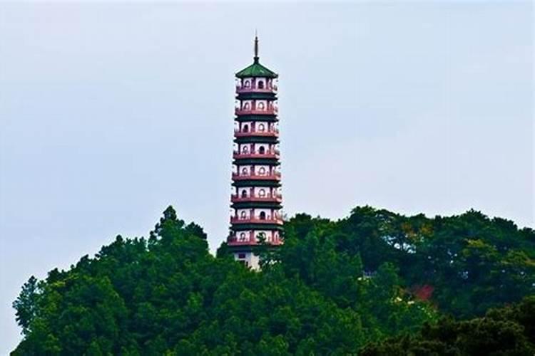 台湾人冬至日祭祖用什么食物