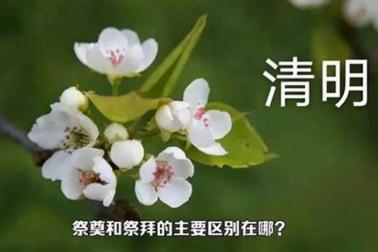 清明节祭拜是当天吗