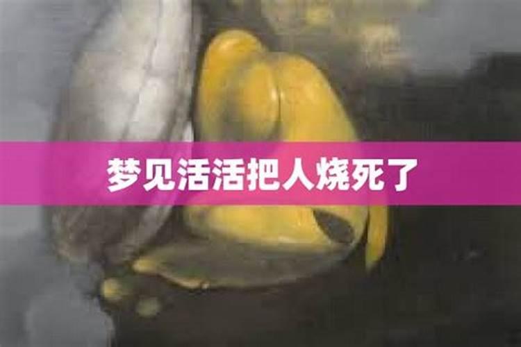 梦到人被火烧何解