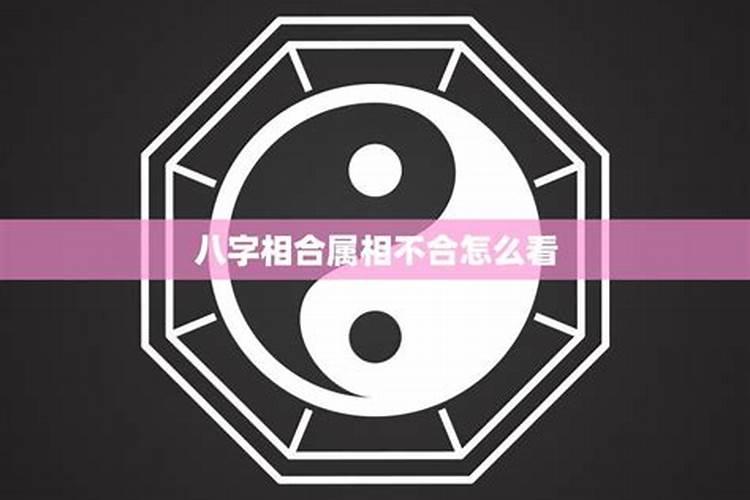 命格相合属相不合怎么办