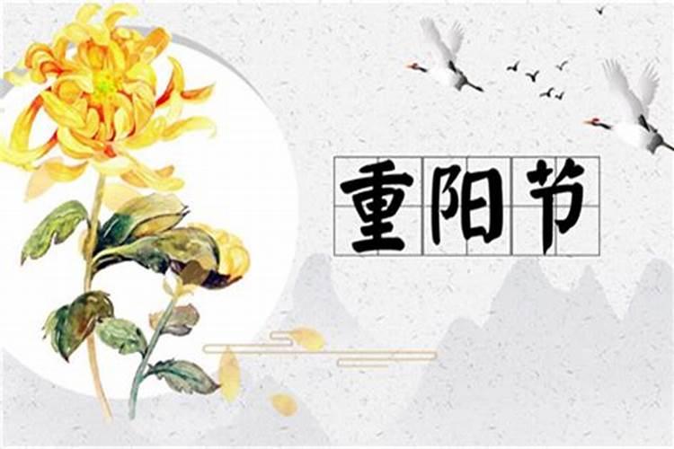 农历重阳节是什么星星的节日