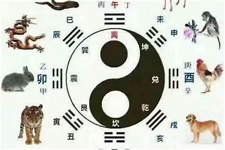 属蛇的今年冲太岁怎么解