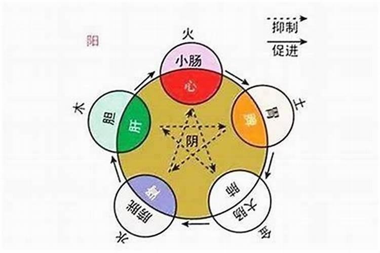 怎样通过八字判断属性