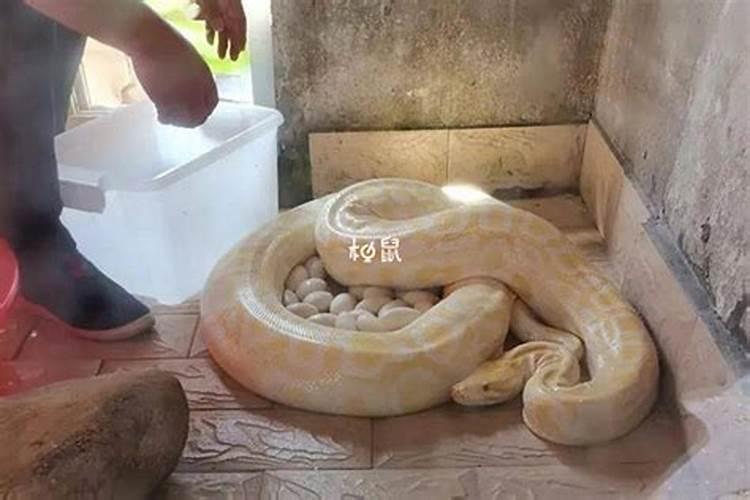 双子座22号运势怎么样