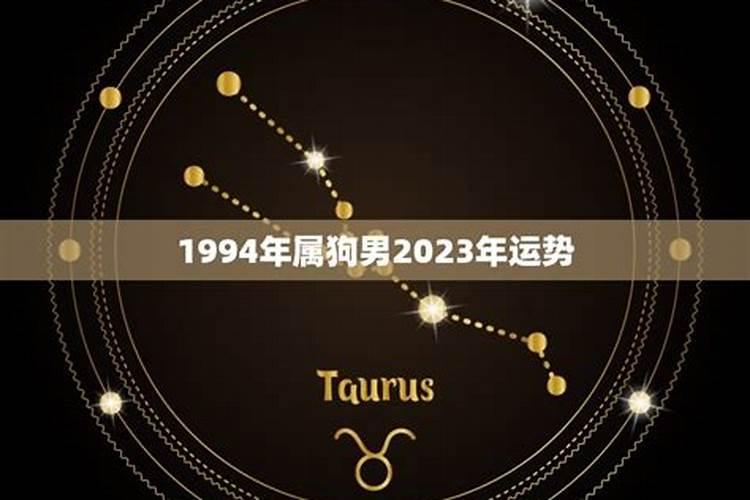 2023年属狗的运势1982