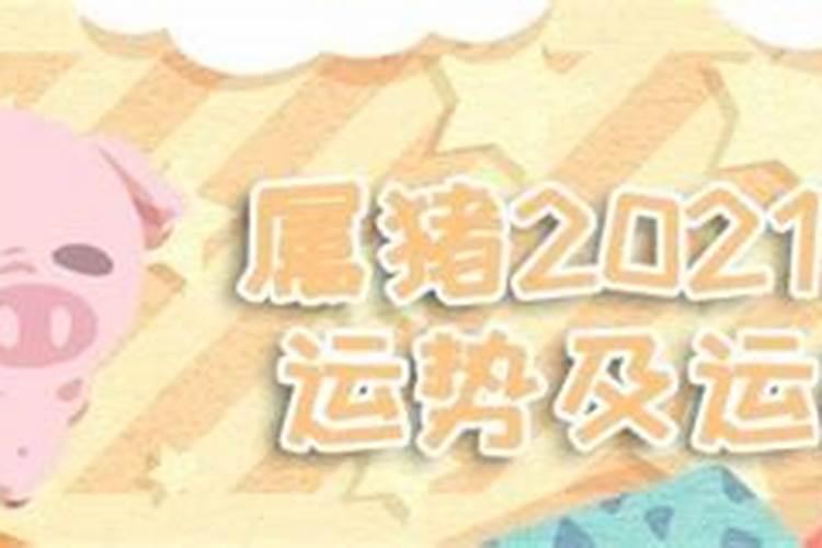 属猪2021流年运势如何看