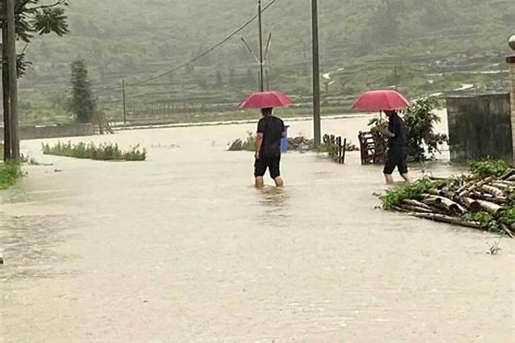 属猪8月13出生是什么命