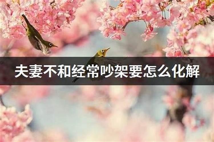 属鼠人2023年月份运势运程如何呢