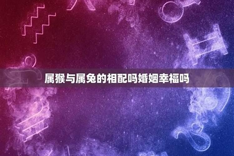 属猴和属兔八字不合怎么办呀