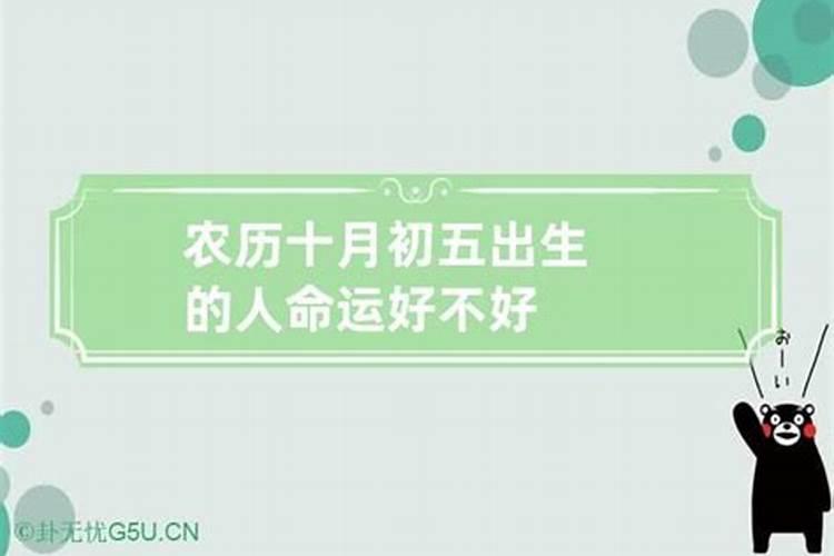 1996年农历十月初五生人命运怎么样