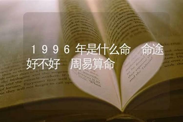 1996年十月初五八字