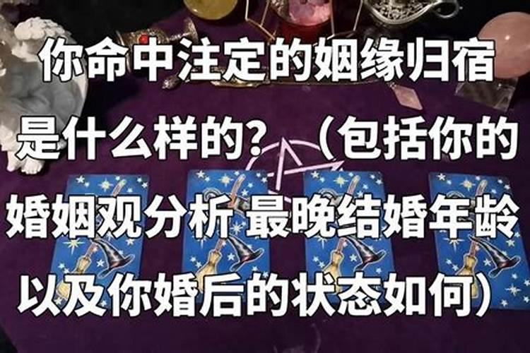 八字甲己合土什么意思