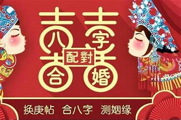 女猪今年感情运势怎么样