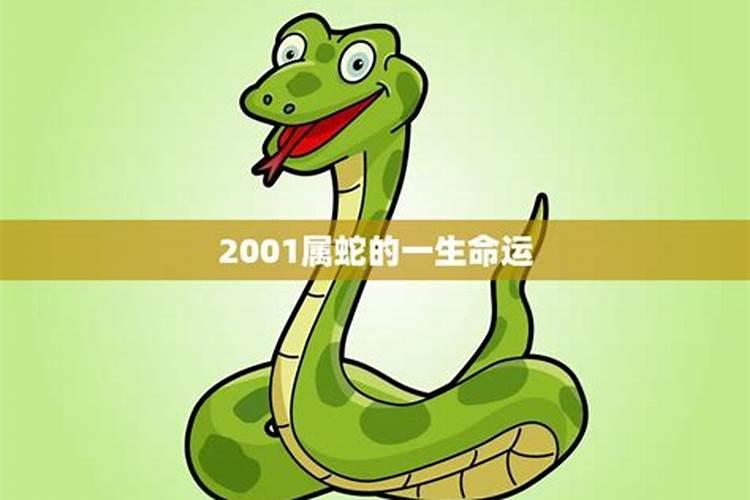 2001年属蛇的人一生命运如何