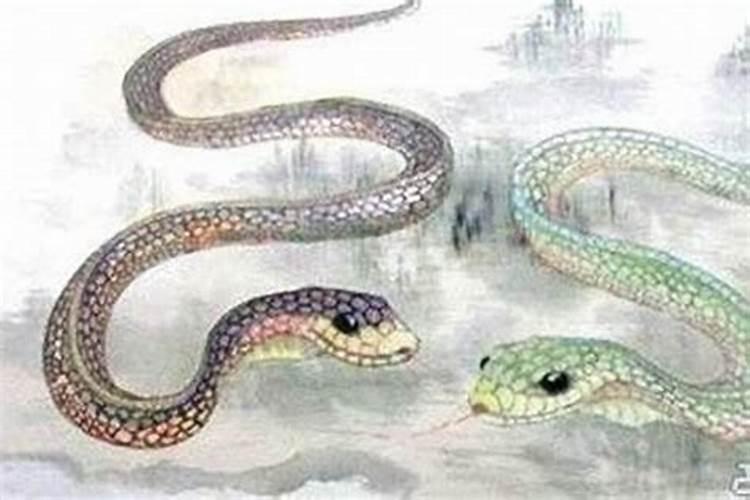 53年出生的属蛇人的寿命多少