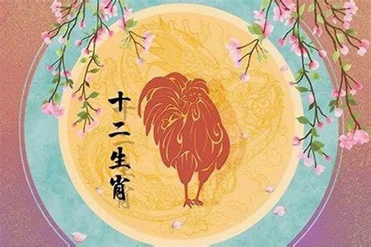 属龙运势今年