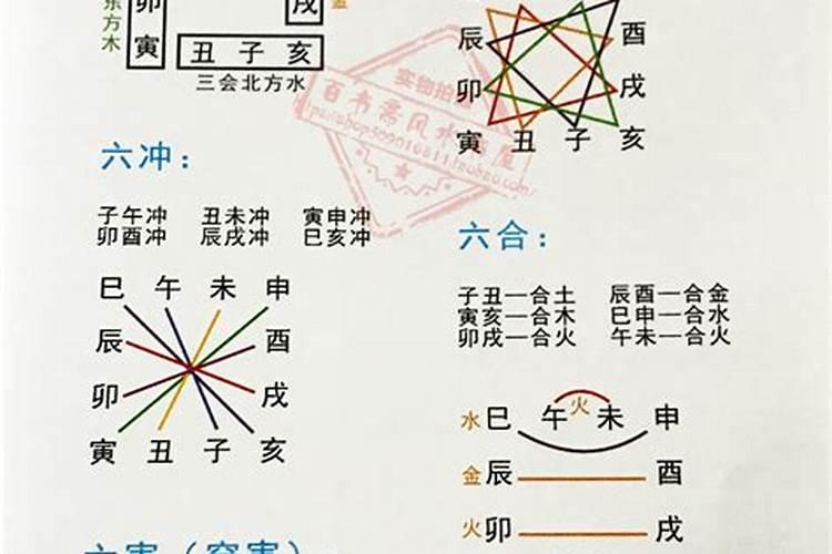 梦见被老鼠和猫