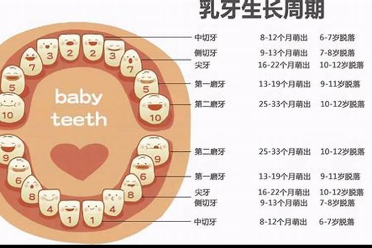 梦见7个月的宝宝长牙了