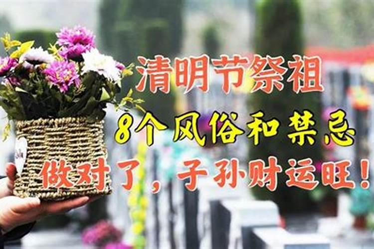 清明节祭祖有什么禁忌