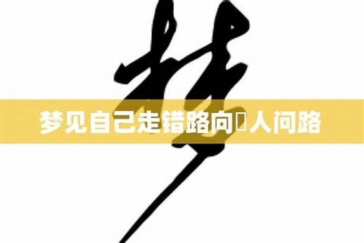 梦见走错路向别人问路