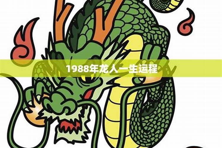 1988年龙男一生运势