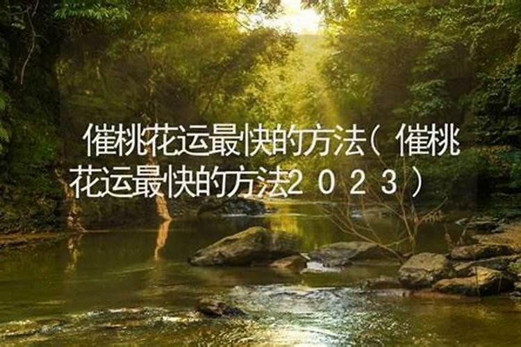 2024蛇年属马运势如何