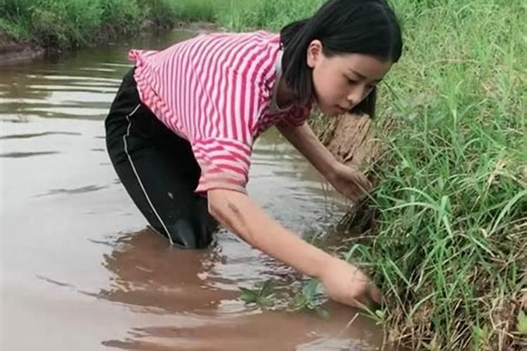 梦见跟前妻一起抓黄鳝