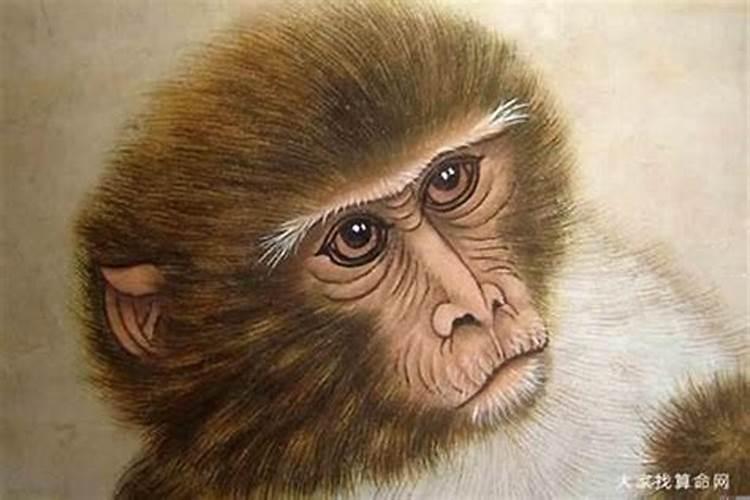 猴子犯太岁如何化解方法