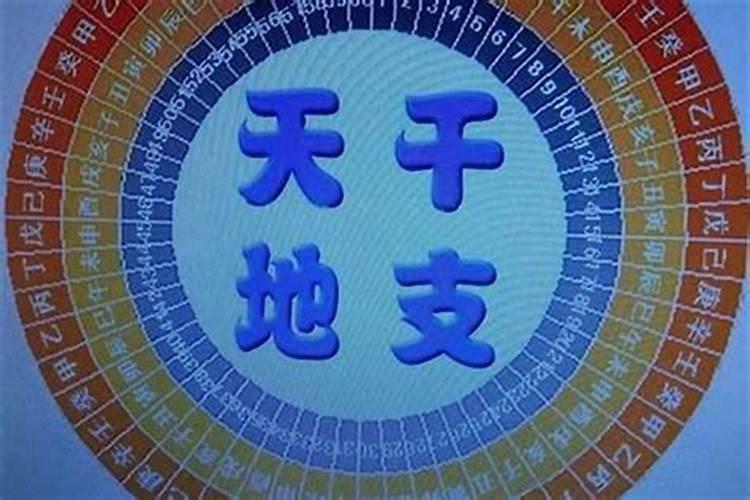 无量子八字预测