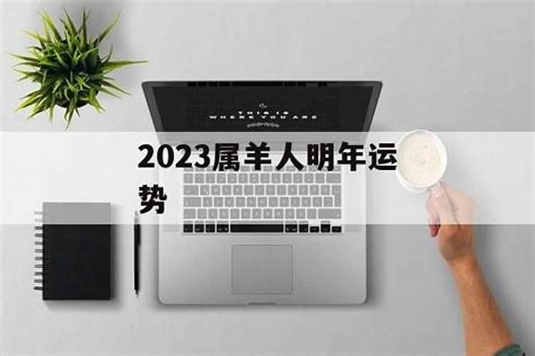 明年2023年属羊的运程