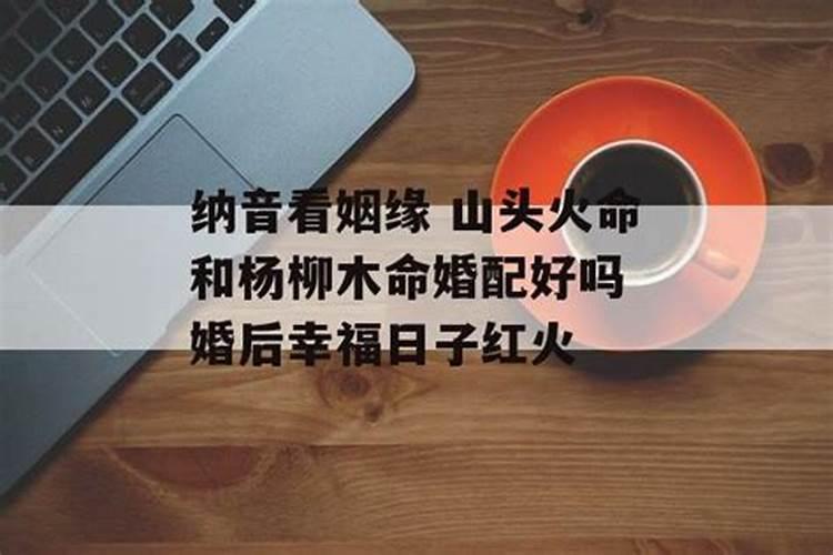 梦见了很多蛇是什么意思啊