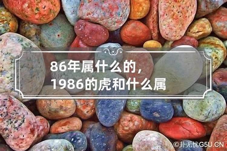 1986年属什么生肖运程