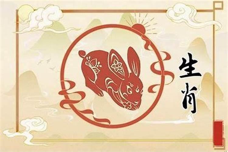 属兔今年破财怎么办呢