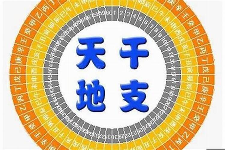 八字地支出现争合