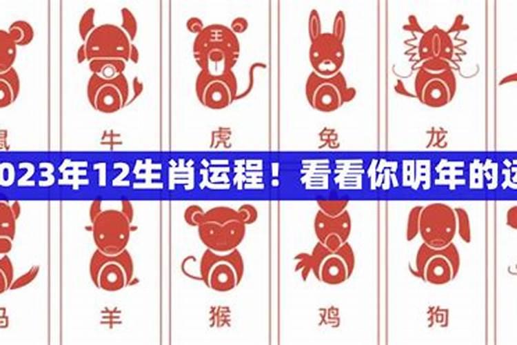 12属相在2023运势如何