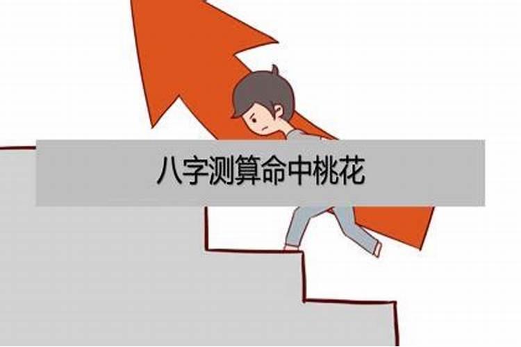 冬至这一天出生的人正气