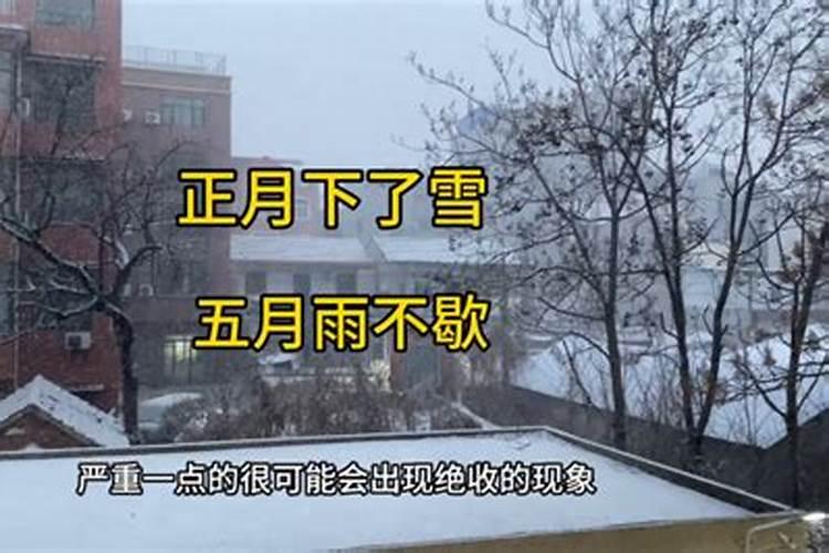 正月十五后几点能下大雪