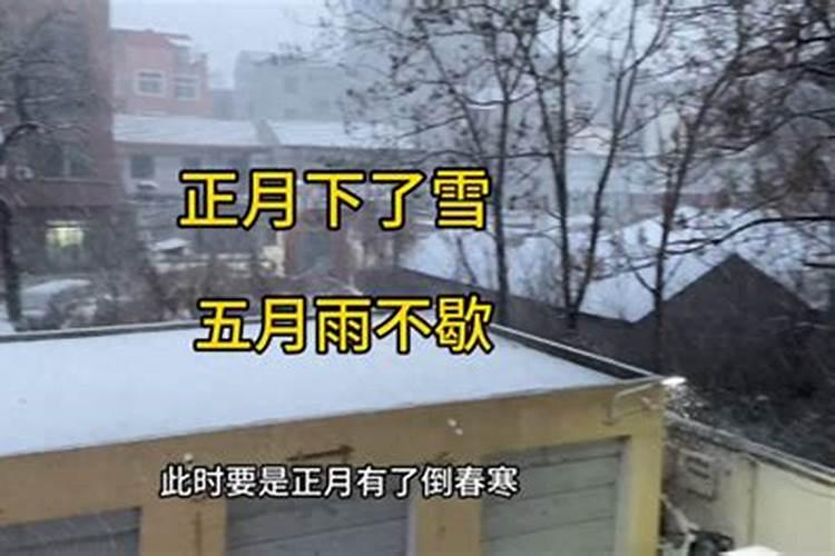 几几年正月十五下大雪了