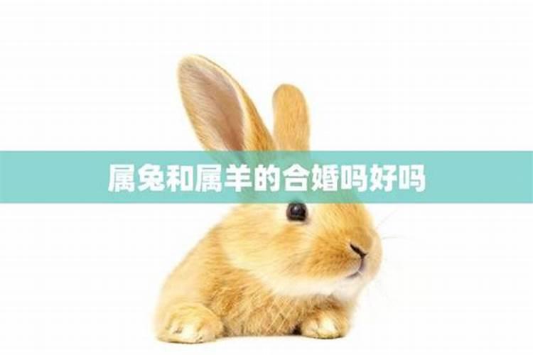 属鼠2023年7月运势运程如何呢