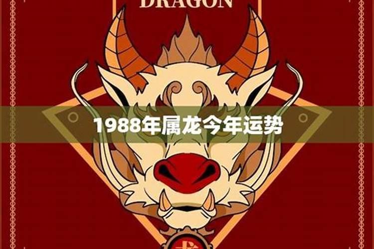 1988属龙今年运势如何